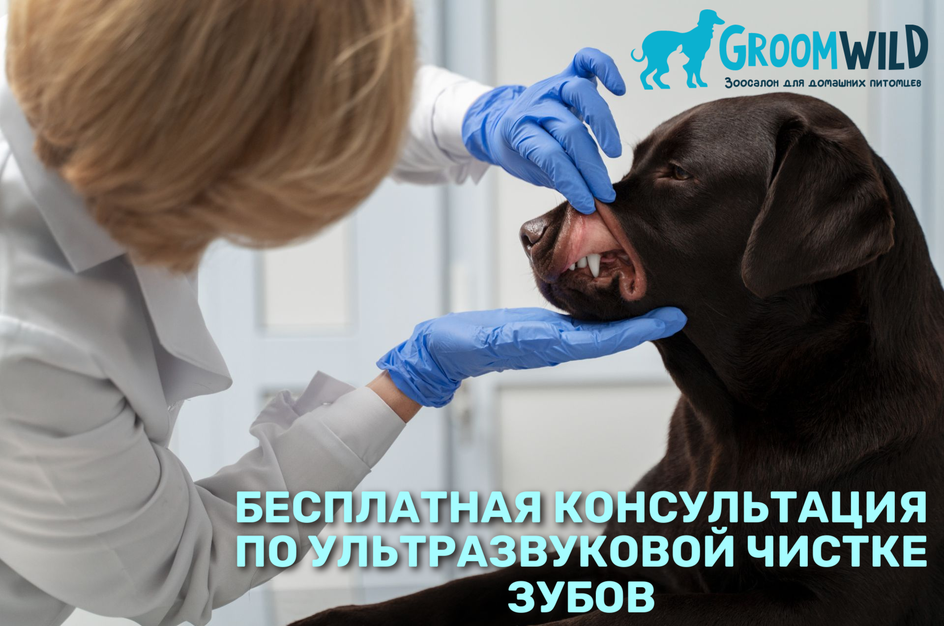 УЗЧ