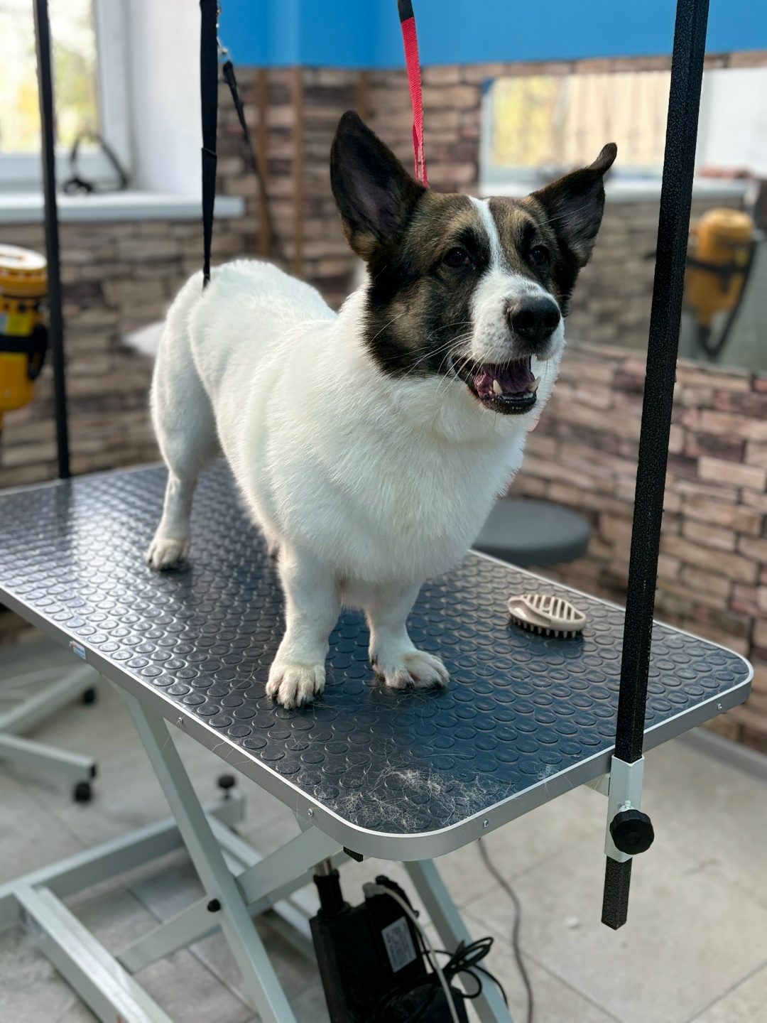 fuLCTiPP7BLCXhLT_F3sE4ZoUgyrvEHo6KsjPn07NlhAW-KTXrz4_9d-NYEIT4uCwvCvkn9ujBRLuKykS1nMltAR